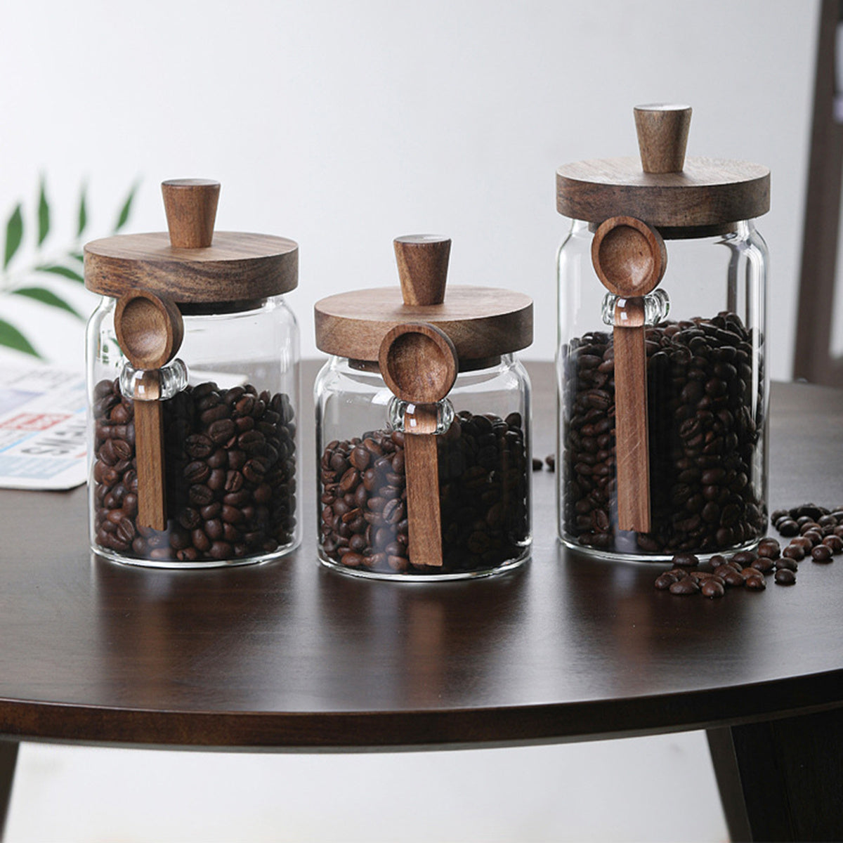 3Pcs Glass Coffee Jars With Spoons