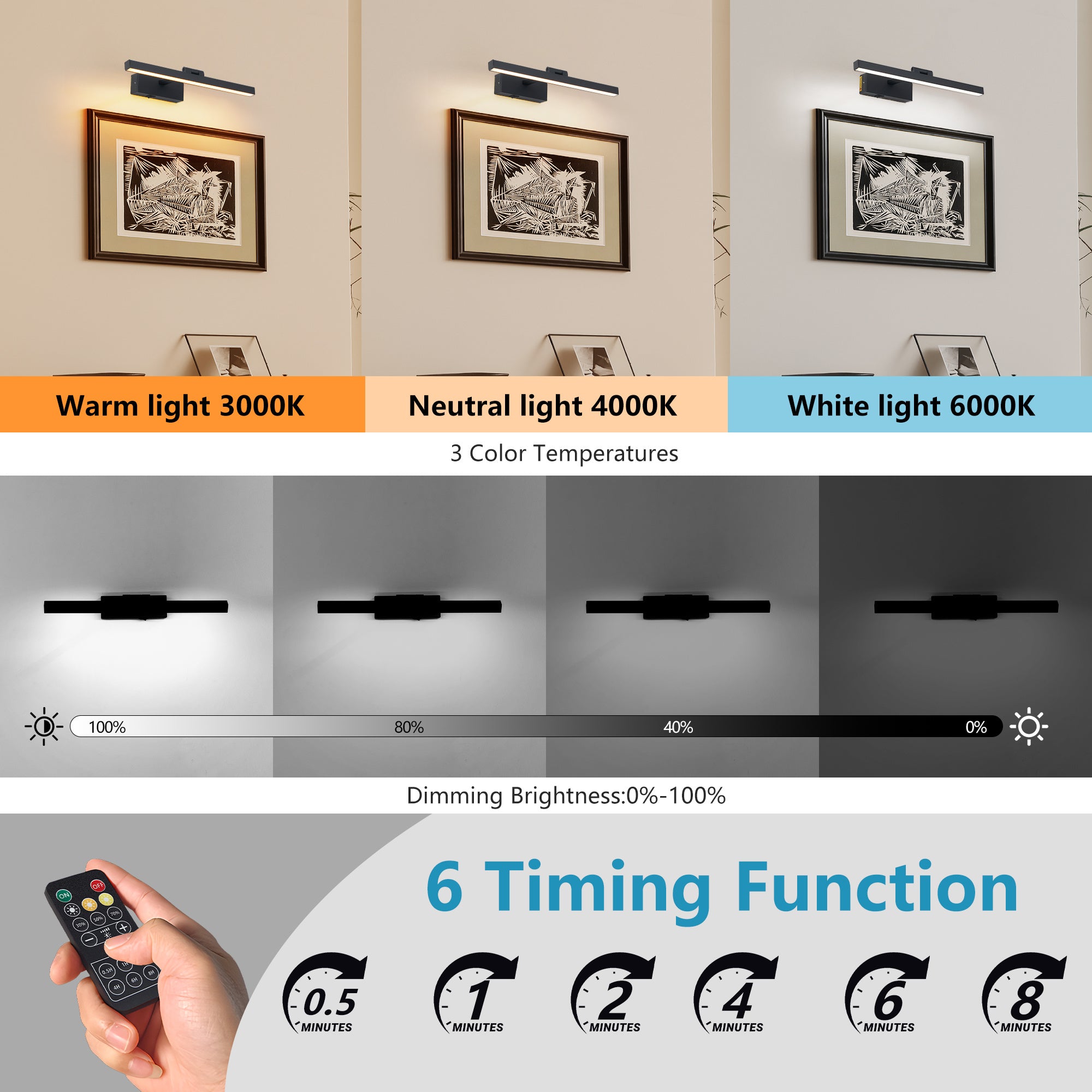 Black Bathroom Light